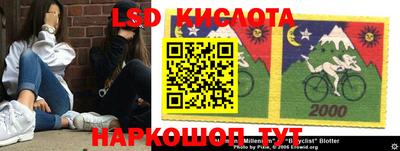 прущие крисы Нальчик